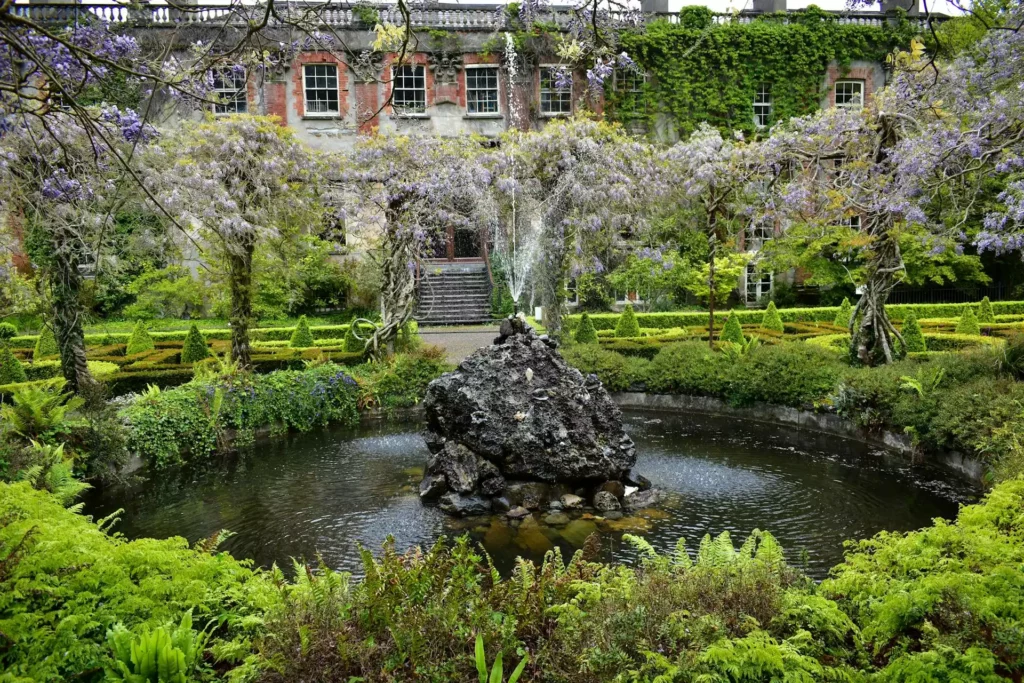 Un bassin de jardin avec une fontaine au centre, entouré de fleurs de glycine et de topiaires.